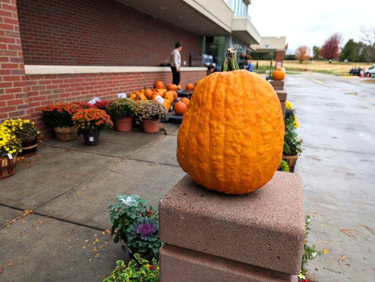 Where Are All the Pumpkins in Topeka? A Last Minute Search for the Perfect Jack-o-lantern.